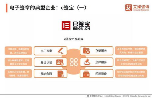 2021年中國企業(yè)數(shù)字化發(fā)展研究報告 網(wǎng)絡技術(shù)服務的前景與挑戰(zhàn)